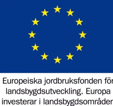 EU logo